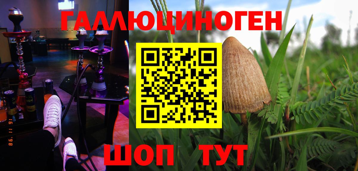 Мирный  Псилоцибиновые грибы Cubensis  Вход с VPN 